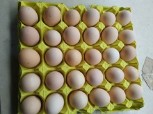 Nông dân đặc sản Hồ Nam vỏ bột trắng vỏ trứng Trứng