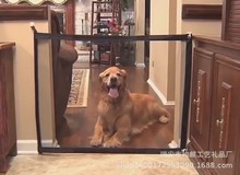 Cửa lưới cách ly cho chó Magic-Gate Đồ dùng cho thú cưng khác