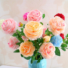 Bán buôn hoa cao cấp 3 hoa mẫu đơn hoa sen mới Sen trang trí đám cưới hoa hồng giả Hoa hồng mô phỏng