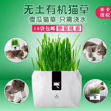 10 túi miễn phí vận chuyển không chụp canh không dơ bẩn trồng mèo cỏ mèo hạt giống cỏ 80g matatabi mèo Snacks Hairball Đồ ăn nhẹ cho mèo