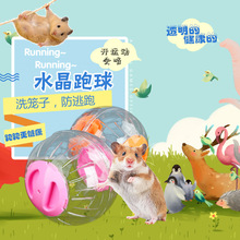 Hamster đồ chơi cung cấp chuột bóng vàng gấu pha lê chạy bóng lăn bóng thể thao Á hậu bóng chạy 15cm không có khung Hamster đồ chơi