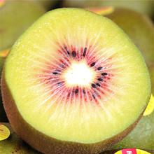 [cung cấp vi mô] kiwi tim đỏ Tứ Xuyên Tứ Xuyên Pujiang kiwi kiwi trái cây tươi kiwi hoang dã Kiwi