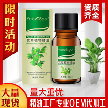 Tinh dầu thơm Yaboer 10ml Massage ngải cứu Ai Ye moxib Fir thực vật cơ thể làm mềm dầu thế hệ OEM chế biến Dầu cơ thể
