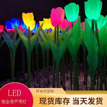 Kỹ thuật ngoài trời chiếu sáng mô phỏng mô hình đèn đẹp nở ánh sáng lễ hội sậy đèn led hoa tulip cắm ánh sáng Đèn cảnh