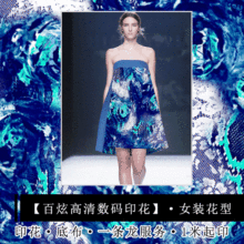 Nhà máy in kỹ thuật số HD của phụ nữ Nhà máy in vải cơ sở bán hàng trực tiếp Bai Xuan Baibu Vải in