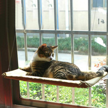 TV mèo mèo võng treo Sucker vật nuôi mèo cửa sổ túi ngủ đơn lớp Tấm lót mèo