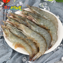 Tôm trắng Thái nhập khẩu Tôm biển Thái Tôm đông lạnh Hải sản đông lạnh Thủy sản 1,8kg / hộp Tôm