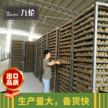 Nhiệt độ thấp Luo Han Guo Huaguo trà Quảng Tây Quế Lâm đặc sản bán buôn xuất xứ trực tiếp bán sữa công thức nguyên liệu chế biến OEM Trà hoa