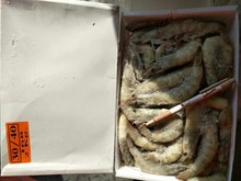 Cung cấp bán buôn đông lạnh tôm trắng Nam Mỹ tôm muối Dole 6 hộp / hộp trắng nhãn đỏ Tôm