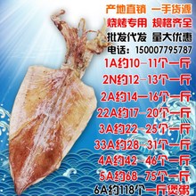 Quảng Tây Beihai hải sản Việt Nam BBQ tay quay mực khô Hàng khô Yuyu khô số lượng lớn bán buôn 500g Hải sản khô