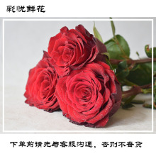 [Cô dâu Rose] Vân Nam quà tặng cơ sở hoa hồng trực tiếp đám cưới để chia sẻ nhà cửa hoa hồng đỏ Hoa và hoa