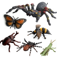 Mô phỏng chuyên dụng xuyên biên giới mô hình côn trùng rắn động vật trang trí bàn cát khoa học và giáo dục mô hình nhận thức động vật 12 Mô hình mô phỏng