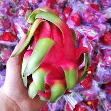 Việt Nam nhập khẩu trái cây rồng đỏ trái cây siêu ngọt trái cây tươi bán buôn toàn bộ 15 kg một miếng tóc Thanh long