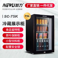 Nhà máy trực tiếp lực mới 75L nhỏ tủ lạnh đá thanh nhỏ tủ đông trưng bày tủ đồ uống bảo quản tủ thực phẩm tủ mẫu Tủ lạnh