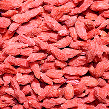 Hàng mới xuất xưởng cung cấp bọ cạp Ningxia trực tiếp 枸杞 220 hạt lớn bán buôn 500g wolfberry