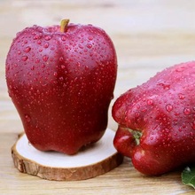 Cửa hàng hạng nhất hoa rắn trái cây tươi nạo bùn đỏ táo đầy hộp 10 kg vận chuyển 18 miếng một thế hệ Táo