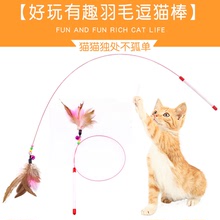 lông vật nuôi thép hài hước mèo dính cần câu mèo đồ chơi mèo đào tạo tương tác cung cấp đồ chơi con vật cưng nhà máy trực tiếp Đồ chơi mèo