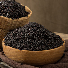 Đế chế nông dân cũ lúa gạo đông bắc 5 cân gạo đen thơm hạt gạo mới và hạt gạo đen Gạo