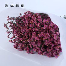 Nhà máy Vân Nam màu trực tiếp tinh cỏ hoa khô có thể được thực hiện vào trang trí nội thất cắm hoa cắt hoa Hoa khô hay