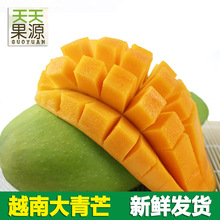 Việt Nam Đại Khánh Mang 9 kg đóng gói xoài tươi nhiệt đới trái cây tươi không Kate Jin Huangman một thế hệ Trái cây chọn