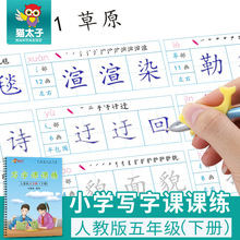 Cat Taizi người dạy phiên bản đồng bộ từ thực hành copybook học sinh lớp năm 楷 thư pháp thư pháp copybook bán buôn Sách thực hành