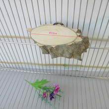 Chinchilla sóc tiêu gỗ gỗ bến tàu đăng nhập nhảy nền tảng mùa xuân vẹt trạm ban nhỏ vật nuôi cung cấp đồ chơi vẹt Hamster đồ chơi