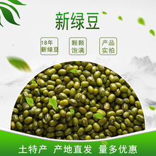 Các nhà sản xuất cung cấp đậu xanh 500 gram hạt đậu xanh đầy đủ tuyệt vời, đậu, một số lượng lớn giá tuyệt vời Đậu