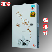 Bán buôn máy nước nóng khí gia dụng 8L10 lít 12 lít khí hóa lỏng mạnh khí tự nhiên kỹ thuật máy nước nóng Máy nước nóng gas