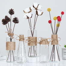 Creative Bắc Âu châu Âu kính bình hoa trang trí nội thất trong suốt bình hoa thủy canh hoa khô gai dây buôn Bình hoa