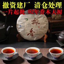 02 năm, trà cây arbor, trà Puer, trà nấu chín, bánh trà Puer, nguồn gốc, chồi vàng Trà bốn mùa
