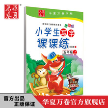 Huaxia Wanjuan viết lớp đào tạo giảng dạy lớp 5 trên sách giáo khoa thực hành sách đồng bộ Trường tiểu học bút sao chép Sách thực hành