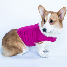 2018 thương mại nước ngoài quần áo tùy chỉnh chặt chẽ quần áo vật nuôi chó để xoa dịu Amazon quần áo chó bán mới Trang phục mèo
