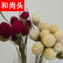 Vân Nam hoa khô bó hoa DIY dâu quả amaranth amaranth hoa khô tu sĩ đầu Hoa khô hay