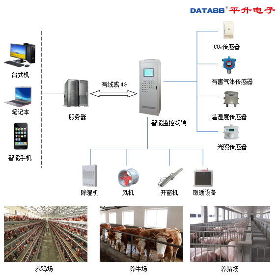 绿色巨龙饲料：推进可继续饲养与健康成长的未来