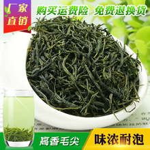 2019 mới bán trà Maojian dải thẳng Maojian như Xinyang Maojian Guzhang Maojian bán buôn số lượng lớn Trà bốn mùa