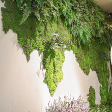 Nhà máy trực tiếp mô phỏng rêu cỏ mô phỏng cảnh trang trí cửa sổ mô phỏng rêu xanh tường ngọc trai rêu Sân cỏ nhân tạo