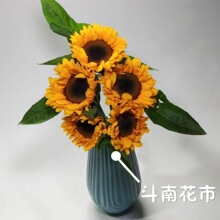 [Sunflower] Côn Minh, Vân Nam cây cảnh hoa bán buôn đồ đạc trong nhà bouquet cánh hoa lễ Teddy Hoa và hoa