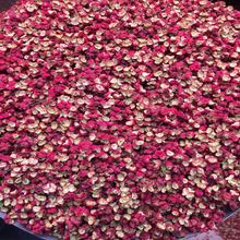 Tứ Xuyên đặc sản trực tiếp bán tiêu đỏ Xianmao Dahongpao 500g một túi lẩu nguyên liệu đặc biệt Ớt ớt