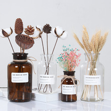 Nordic INS kính trong suốt bình hoa khô trang trí châu Âu trang trí nội thất sáng tạo bình hoa thủy canh bán buôn Bình hoa