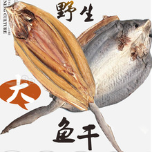 Quảng Tây Bắc Hải Đặc sản hải sản Bán trực tiếp cá khô, cá, vây, xương, cá muối, 1 jin Hải sản khô
