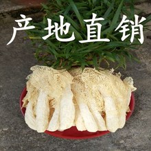 [Lợi nhuận nhỏ nhưng doanh thu nhanh] Hsinchu không chứa lưu huỳnh 荪 tre goods hàng khô bán buôn sản phẩm đặc biệt vi khuẩn Queen 100g / cái Phúc Kiến