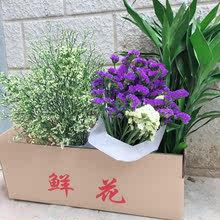 Forget-me-tinh gói cỏ của cành hoa tươi ở Vân Nam Dou cơ sở cung cấp điện bắt nguồn từ một thế hệ miễn phí vận chuyển chất béo Hoa và hoa