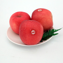 Shandong Red Fuji táo tươi và trái cây giòn Ice ice trái tim hoang dã Fuji đỏ hiện đang nhặt được năm pound Táo