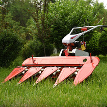 Máy cắt lúa một mặt Tiêu lúa một phần máy gặt thẳng đứng Máy thu hoạch