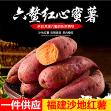 [Hộp quà] Phúc Kiến Liuyi khoai tây đỏ mật ong khoai tây tươi nhỏ ngọt khoai tây mềm cuốc giờ đang đào 5 kg quả lớn Hàng khô chọn