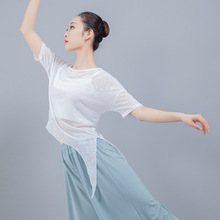 Quần áo tập nhảy hiện đại lưới gạc phụ nữ Bài hát cổ điển của Dancer Đầm nhảy vuông