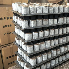 Nhà máy Shengsheng trực tiếp cây giống gỗ nhẹ chất nền gỗ cắt ma trận không dệt ánh sáng ma trận container 3.5 4.5 Chất nền trồng trọt