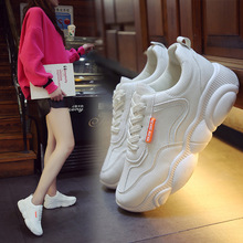 Giày đế dày màu trắng mùa xuân Giày đế bằng cho nữ Giày thủy triều 2019 phiên bản mới của Hàn Quốc của giày lưới gấu đỏ Giày trắng bề mặt lưới Giày thể thao nữ