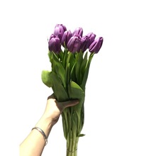 [Tulip] Côn Minh, Vân Nam hoa bán buôn tất cả các loại mặt hàng chất lượng cao phù hợp với cắt hoa cưới cắm hoa Hoa và hoa