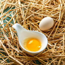 [10 9,9 nhân dân tệ sẽ được lấy ngay hôm nay] trứng đất trang trại phát hiện trứng sinh thái ở vùng núi Trứng